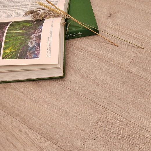 Дуб Арктическое лето