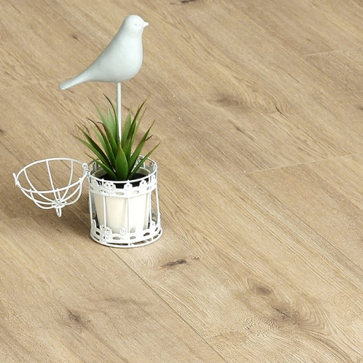 Дуб Морской песок