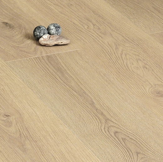 Дуб Раннее утро