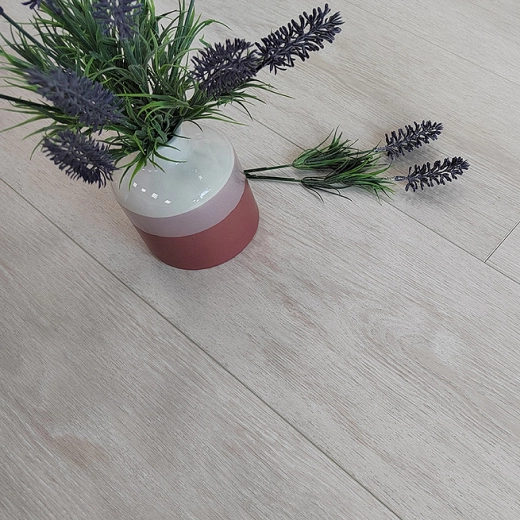 Дуб Кремовый